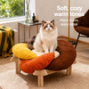 Petal-Shaped Elevated Cat Bed with Washable Cushion