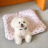 Waterproof Plastic Pet Rest Mat