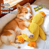 Plush Squeaky Dog Toys – Duck, Disc & Pizza Designs