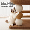 Space-Saving Cat Scratcher and Bed with Sisal Climbing Frame