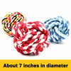Latex Squeaky Dog Chew Toys for Small Dogs and Puppies