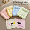 Washable Summer Pet Mat for Dogs & Cats