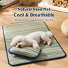 Silicone Pet Mat for Dogs