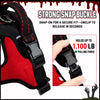 Winged Nylon Dog Harness with Optional Multi-Function Leash