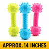 Latex Squeaky Dog Chew Toys for Small Dogs and Puppies