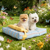 Washable Pet Bed for Cats and Dogs