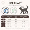 Plastic Elizabethan Collar for Dogs