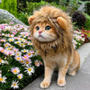 Animal-Inspired Pet Costume Hats for Cats and Dogs