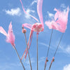 Interactive Feather Cat Toy