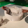 Portable Polyester Pet Bed for Cats and Small Dogs
