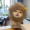 Animal-Inspired Pet Costume Hats for Cats and Dogs