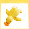 Plush Squeaky Dog Toys – Duck, Disc & Pizza Designs