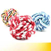 Latex Squeaky Dog Chew Toys for Small Dogs and Puppies