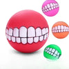 Latex Squeaky Dog Chew Toys for Small Dogs and Puppies