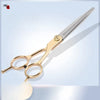 Pet Grooming Shears Set